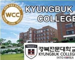 Chương trình Tuyển sinh Trường Cao Đẳng Kyongbuk 